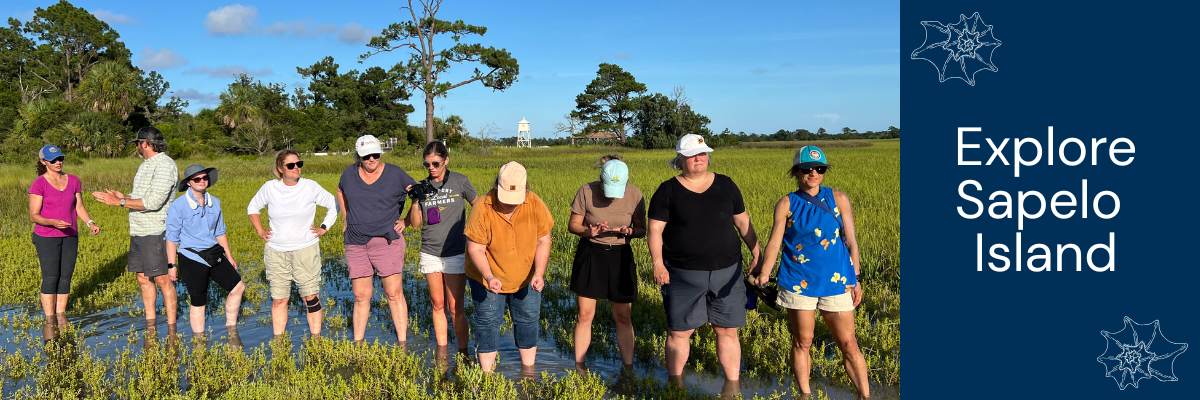 2026 Explore Sapelo Island Banner